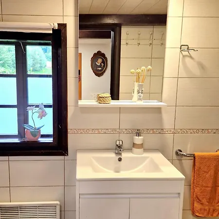 Atelje Mlin Umetnin Retreat ホームステイ *