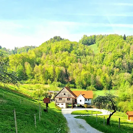 Atelje Mlin Umetnin Retreat ホームステイ Šentjur