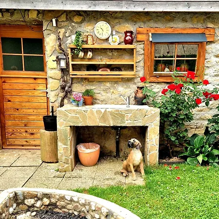 Atelje Mlin Umetnin Retreat בית אירוח Šentjur