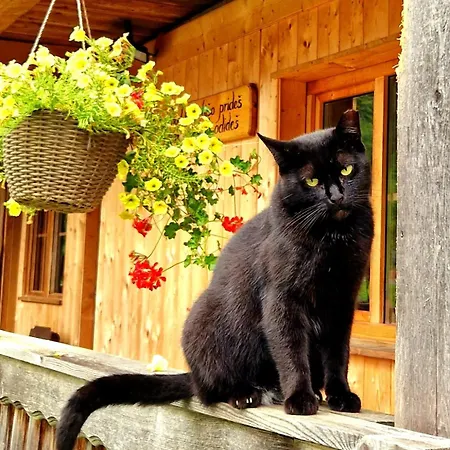 Atelje Mlin Umetnin Retreat Šentjur