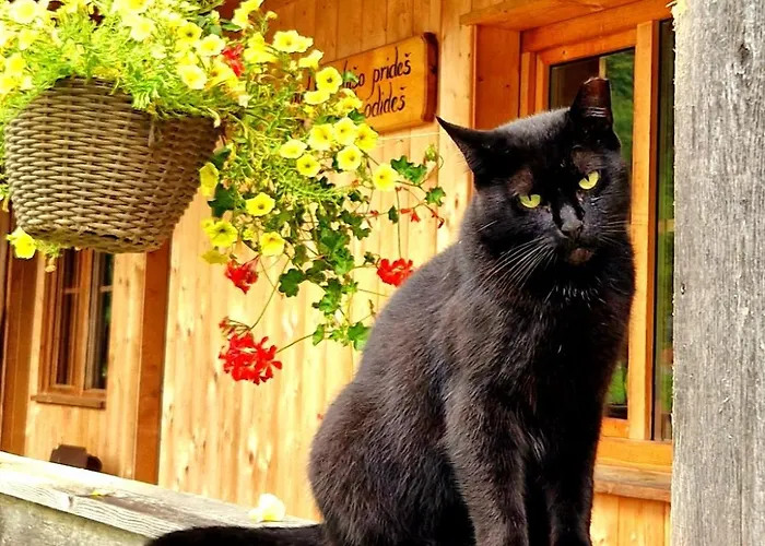 Atelje Mlin Umetnin Retreat 센튜어